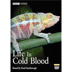 Life in Cold Blood by 
