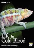 Life in Cold Blood