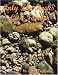 Only the Rocks Last Forever by Tom Westfall