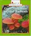 Book Good Mushrooms and Bad Toadstools (Rookie Read-About Science)