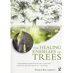 The Healing Energies of Trees