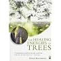 The Healing Energies of Trees