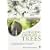 The Healing Energies of Trees