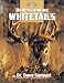 Understanding Whitetails (The Complete Bowhunter)