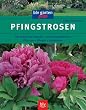 Pfingstrosen