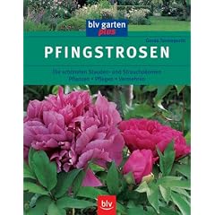 Pfingstrosen