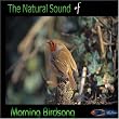 Natural Sound Series - Morning Birdsong