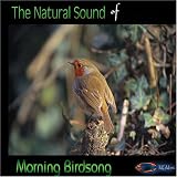 Natural Sound Series - Morning Birdsong