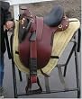 Youth Bushmaster Australian Saddle