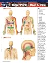 Trigger Points I: Head & Torso (Life Sciences)
