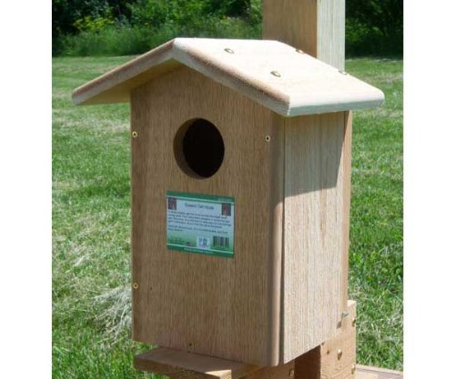 Screech Owl House - Side Clean-Out