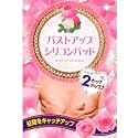2カップバストアップ(アンダー バストアップパッド)