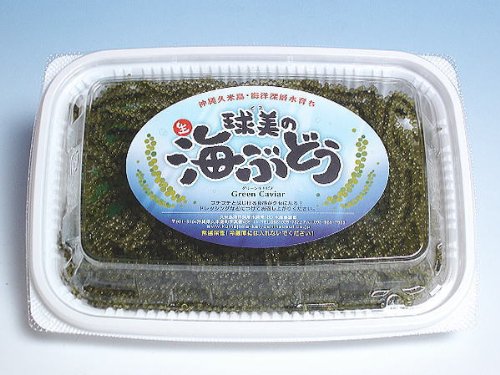 海洋深層水育ち【球美の海ぶどう（生）80g　タレ付き】久米島