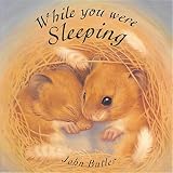 Cover of While You Were Sleeping by Butler John 1841219282
