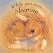 While You Were Sleeping