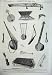 1870 Musical Instruments Kensington Museum Guitar Pipes