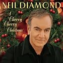 The Chanukah Song