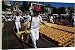 Friday cheese auction - 20 Inch Canvas Print (51 cm) by Robert Harding