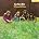 Ten Years After