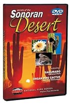 Secrets of the Sonoran Desert