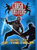 Secret Life of The Ninja