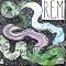 SEE MY ECLECTIC CD COLLECTION "R-1"