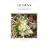 Lichens: An Illustrated Guide to the British and Irish Species