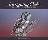Intriguing Owls: Extraordinary Images and Insight