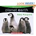 Planet Earth: Baby Penguins