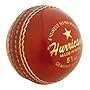Gray-Nicolls Hurricane Cricket Ball