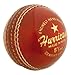Gray-Nicolls Hurricane Cricket Ball Senior