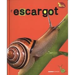 L'escargot