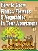 How to Grow Plants, Flowers & Vegetables In Your Apartment; A Guide To Urban Gardening