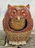 Owl Water Fountain Indoor Outdoor