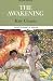 Books : The Awakening (Case Studies in Contemporary Criticism)