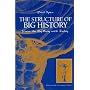 The Structure of Big History: From the Big Bang until Today