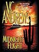 Midnight Flight (Broken Wings)