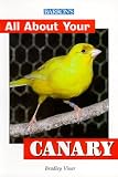 All about Your Canary (All about Your Pet)