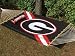 Georgia Bulldogs NCAA Hammock with Pillow (55"x82")
