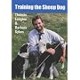 Training the Sheep Dog by Thomas Longton