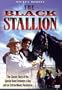 The Black Stallion