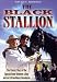The Black Stallion