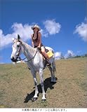 井上和香コスプレ写真集 ワカコレ (ボム特別編集)