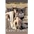 The Light Years: v. 1 (Cazalet Chronicle)