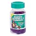 L'il Critters Gummy Immune C Plus Zinc & Echinacea, Dietary Supplement for Kids, 60-Count Bottles (Pack of 4)