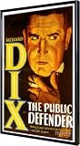 Public Defender, The 11