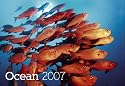 Ocean 2007. Internationales Kalendarium