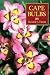Book Cape Bulbs: Their Collection, Cultivation and Conservation