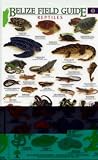 Reptiles/amphibians (Belize Field Guides)