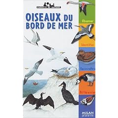 Oiseaux du bord de mer